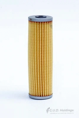 Fuel Filter (G601)