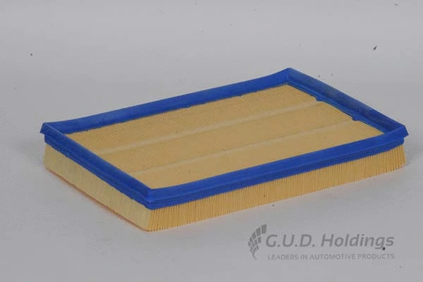 Air Filter (AG999)