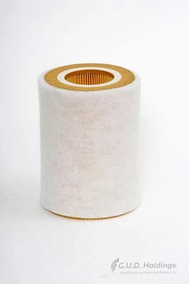 Air Filter (AG1124)