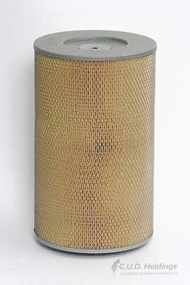Air Filter (ADG674)