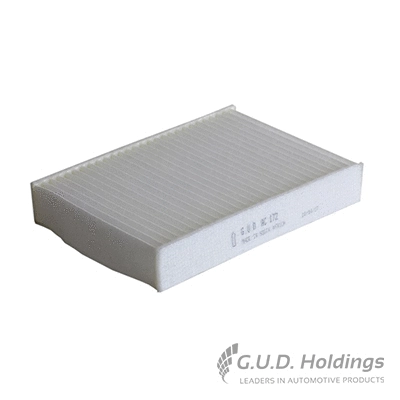 Filter, cabin air (AC172)