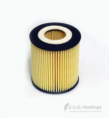 Oil Filter (M49)