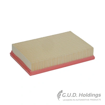 Air Filter (AG1034)