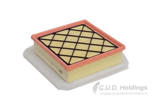 Air Filter (AG1571)