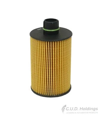 Oil Filter (M150)
