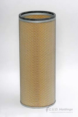 Secondary Air Filter (ADG965)