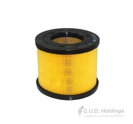 Air Filter (AG1668)