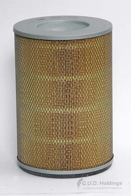 Air Filter (ADG494)