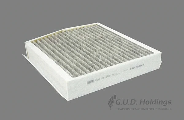 Filter, cabin air (AC137)
