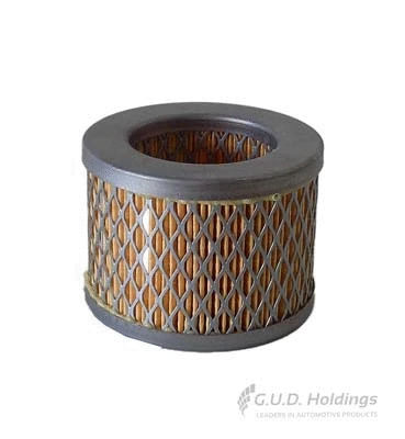 Air Filter (AG1816)