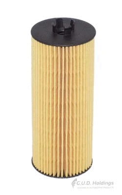 Oil Filter (M169)