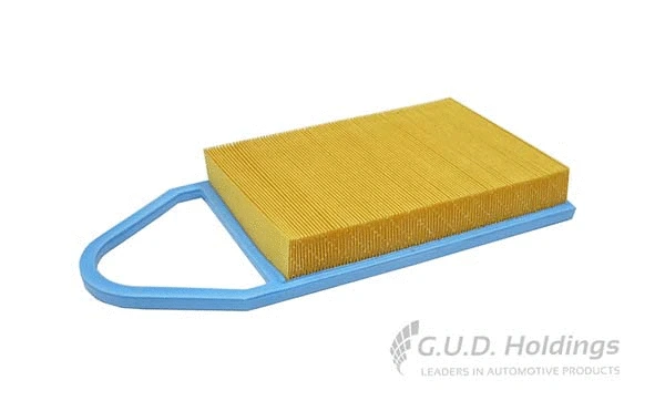 Air Filter (AG1539)