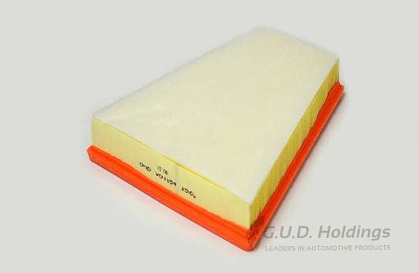 Air Filter (AG1524)