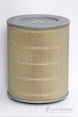 Air Filter (ADG875)