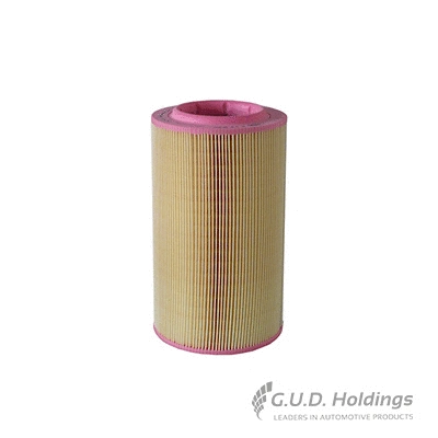 Air Filter (AG1517)