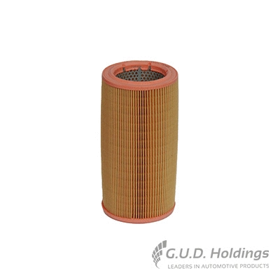 Air Filter (AG1046)