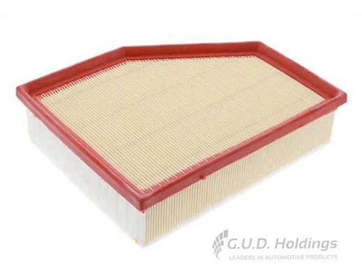 Air Filter (AG1825)