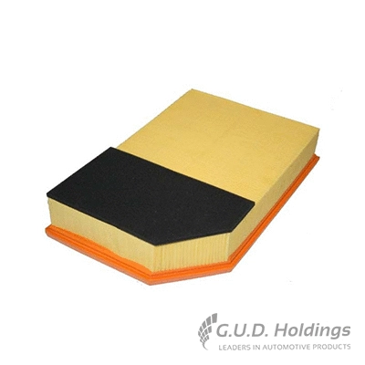 Air Filter (AG1409)