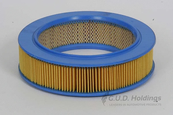 Air Filter (AG629)