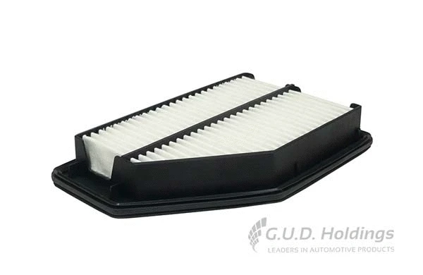 Air Filter (AG1596)