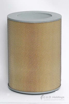 Air Filter (ADG479)