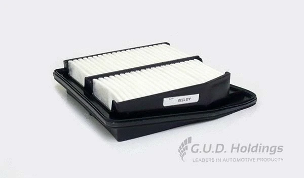 Air Filter (AG1530)
