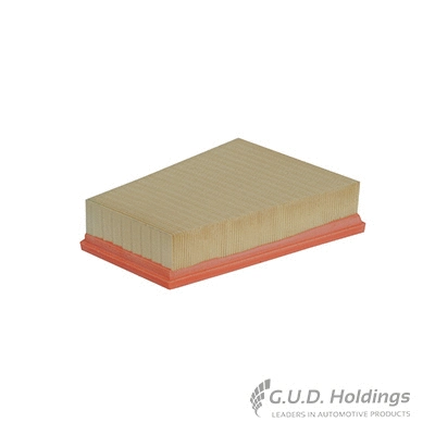 Air Filter (AG1152)