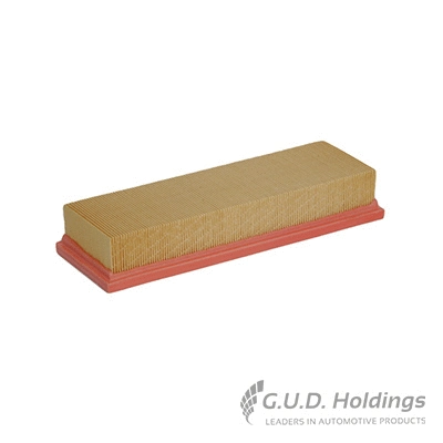 Air Filter (AG905)