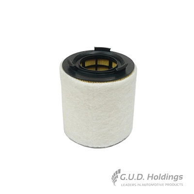 Air Filter (AG1384)