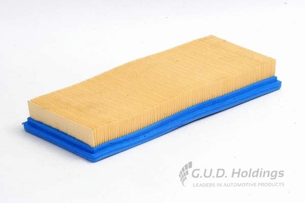 Air Filter (AG574)