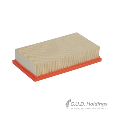Air Filter (AG1262)