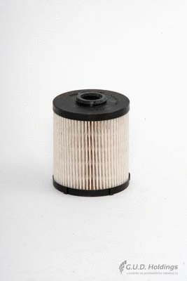 Fuel Filter (M12)