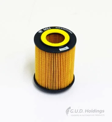 Oil Filter (M53)