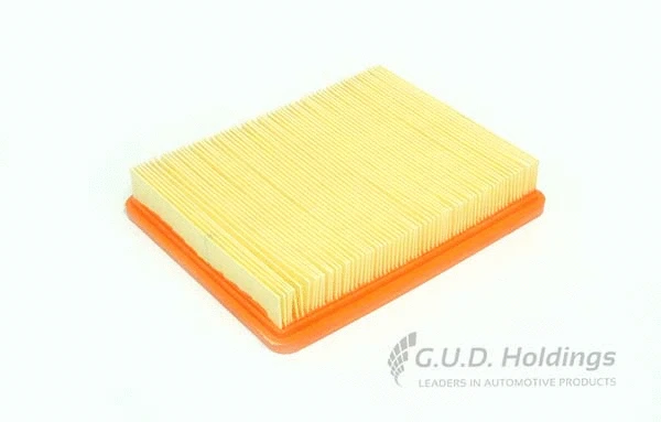 Air Filter (AG1341)