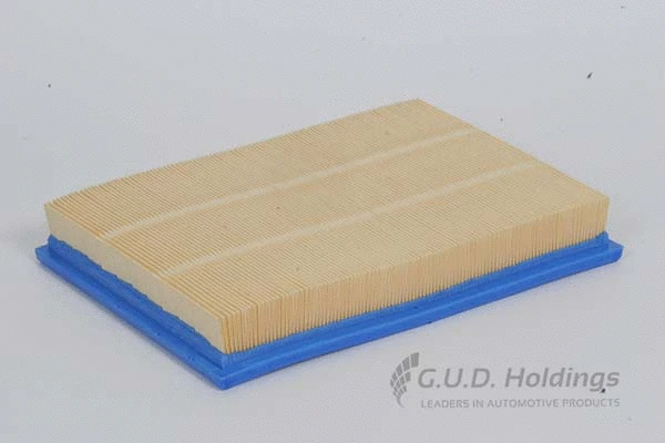 Air Filter (AG1087)