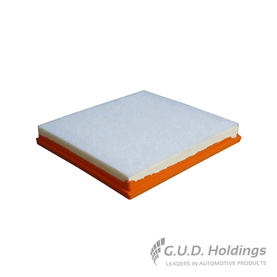 Air Filter (AG1493)