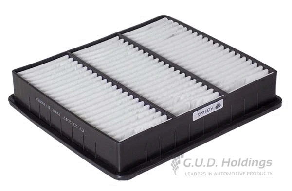 Air Filter (AG1443)