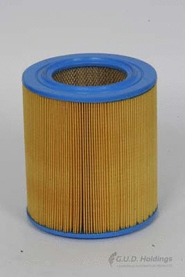 Air Filter (AG901)
