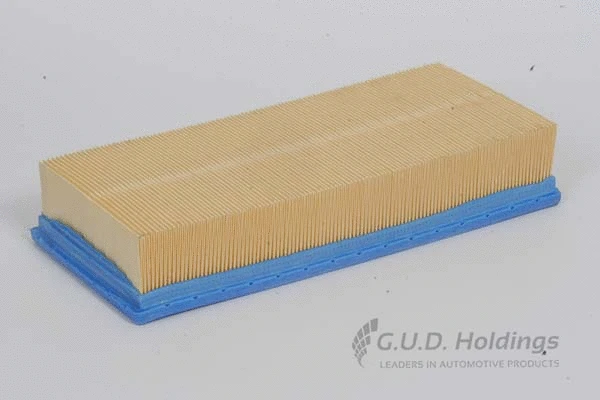 Air Filter (AG828)