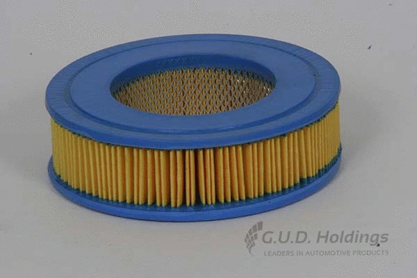 Air Filter (AG621)