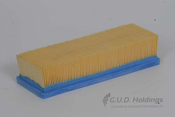 Air Filter (AG807)