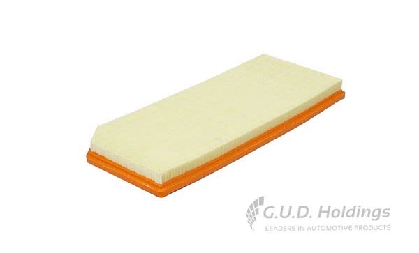 Air Filter (AG1558)