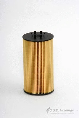 Oil Filter (M35)