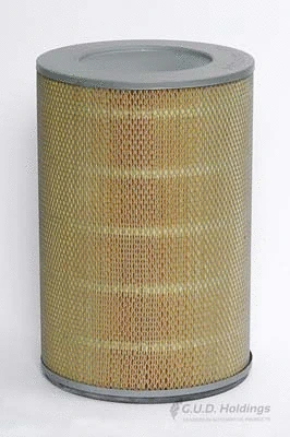 Air Filter (ADG524)