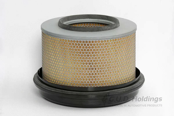 Air Filter (ADG756)