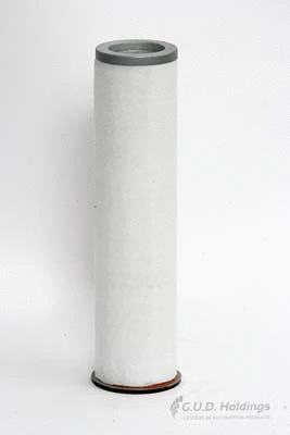 Secondary Air Filter (ADG587)