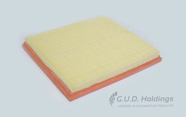 Air Filter (AG1451)