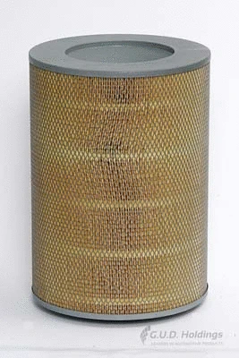 Air Filter (ADG955)