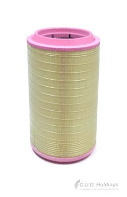 Air Filter (ADG1717R)