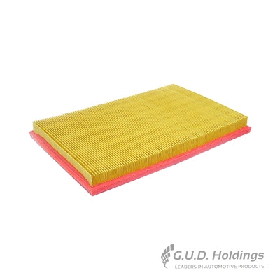 Air Filter (AG1338)